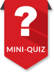 mini-quiz