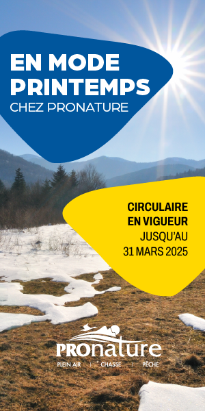 Cliquez ici