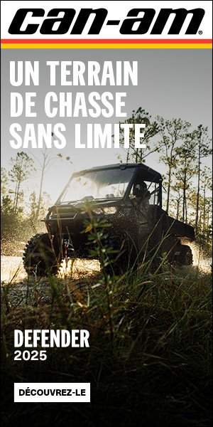 Cliquez ici