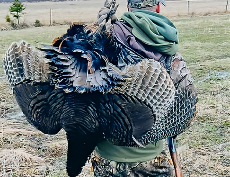 GUIDE  DU CHASSEUR  DÉBUTANT
