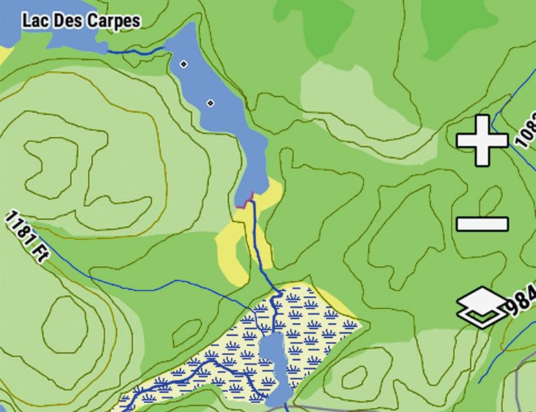Carte Bird Eyes