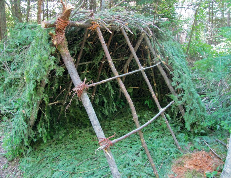 Une tente en branches de conifères