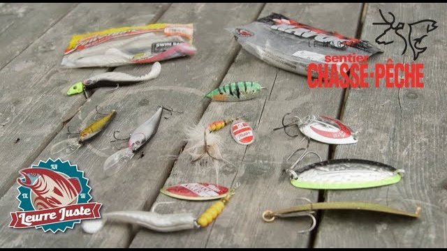 Conseils de pêche au brochet par Leurre Juste - Vidéos sur la pêche -  Magazine Sentier Chasse-Pêche