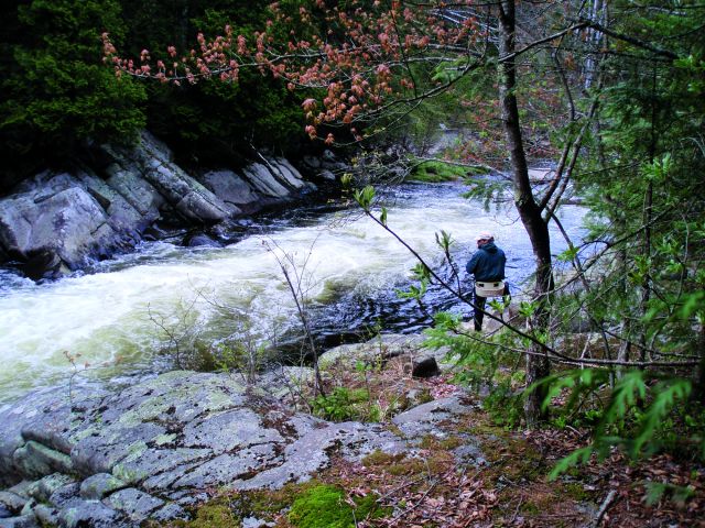 Photo pêche
