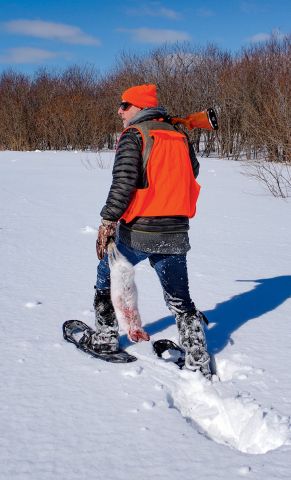 Lorsque la neige est bien installée en février, les raquettes sont bien sûr indispensables pour pénétrer dans les repaires de lièvres.