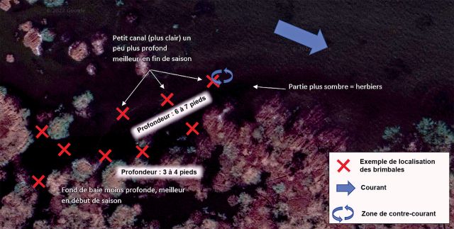 Photo pêche